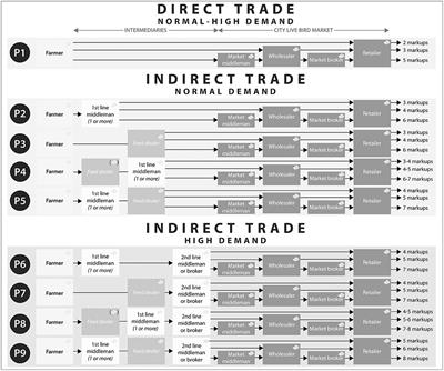 Avian Influenza Risk Environment: Live Bird Commodity Chains in Chattogram, Bangladesh